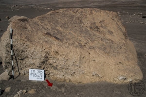 Piedra: 562, Cara decorada: I
