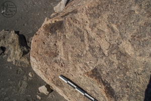 Piedra: 562, Cara decorada: I