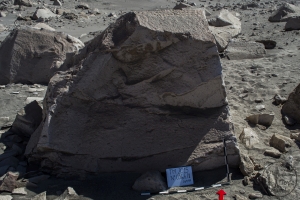 Piedra: 566, Cara decorada: II