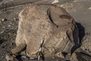 Piedra: 569, Cara decorada: I