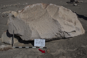 Piedra: 578, Cara decorada: I