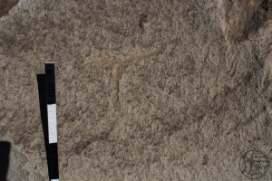 Piedra: 578, Cara decorada: I
