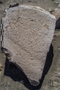 Piedra: 582, Cara decorada: I