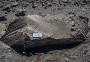 Piedra: 586, Cara decorada: I