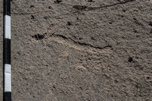 Piedra: 586, Cara decorada: I