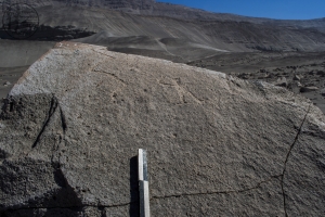 Piedra: 589, Cara decorada: I