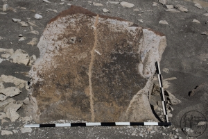 Piedra: 591, Cara decorada: I