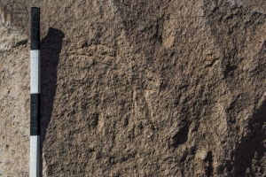 Piedra: 595, Cara decorada: II