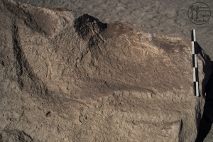 Piedra: 596, Cara decorada: I