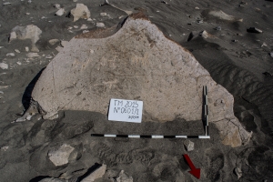 Piedra: 601, Cara decorada: I