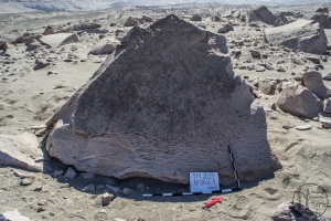Piedra: 602, Cara decorada: I