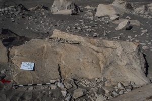 Piedra: 605, Cara decorada: I