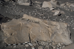 Piedra: 605, Cara decorada: I