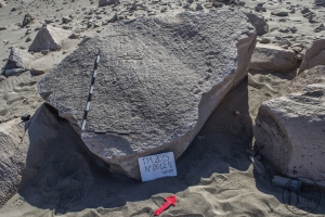 Piedra: 612, Cara decorada: I