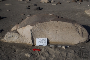Piedra: 623, Cara decorada: I