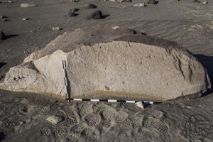 Piedra: 623, Cara decorada: I