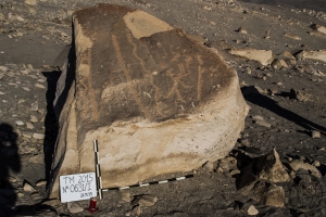 Piedra: 631, Cara decorada: I
