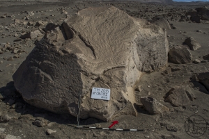 Piedra: 634, Cara decorada: I