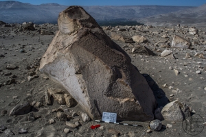 Piedra: 637, Cara decorada: I