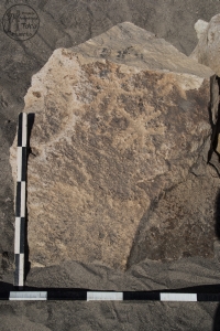 Piedra: 644, Cara decorada: I