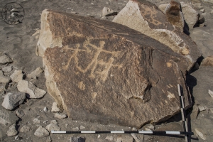 Piedra: 646, Cara decorada: I