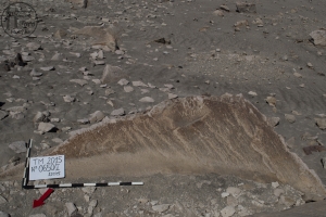 Piedra: 650, Cara decorada: I