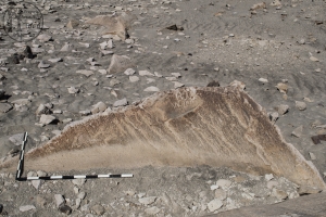 Piedra: 650, Cara decorada: I