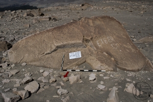 Piedra: 651, Cara decorada: II
