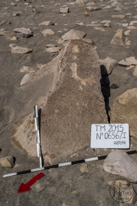 Piedra: 656, Cara decorada: I