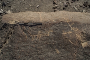 Piedra: 657, Cara decorada: II