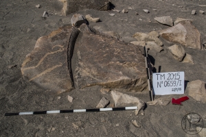 Piedra: 659, Cara decorada: I