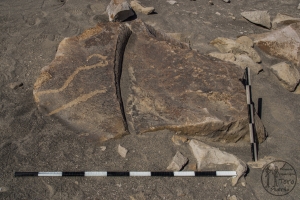 Piedra: 659, Cara decorada: I
