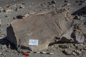 Piedra: 664, Cara decorada: I