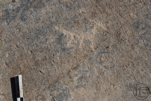 Piedra: 664, Cara decorada: I