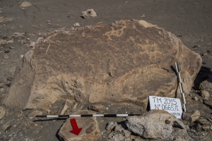 Piedra: 665, Cara decorada: I