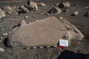 Piedra: 667, Cara decorada: I