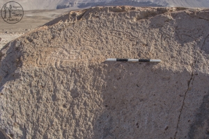 Piedra: 670, Cara decorada: II