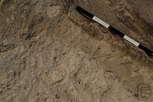 Piedra: 670, Cara decorada: I