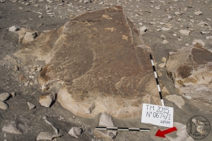 Piedra: 674, Cara decorada: I
