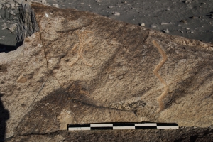 Piedra: 681, Cara decorada: I