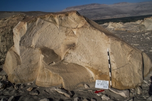 Piedra: 682, Cara decorada: II