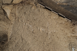 Piedra: 682, Cara decorada: II