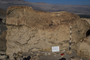 Piedra: 683, Cara decorada: I