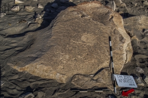 Piedra: 685, Cara decorada: I
