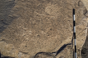 Piedra: 685, Cara decorada: I