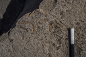 Piedra: 687, Cara decorada: I
