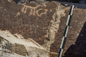 Piedra: 688, Cara decorada: I