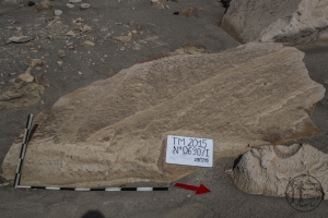 Piedra: 690, Cara decorada: I