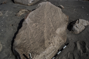 Piedra: 690, Cara decorada: I