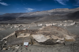 Piedra: 693, Cara decorada: IV